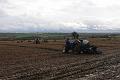 Ploughing 4